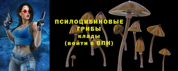 a pvp Переславль-Залесский