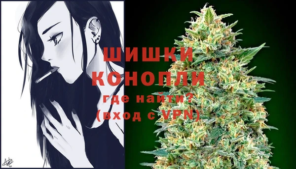 гидра Пестово