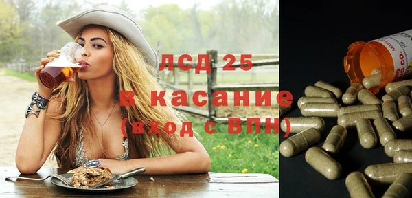 ПСИЛОЦИБИНОВЫЕ ГРИБЫ Осташков