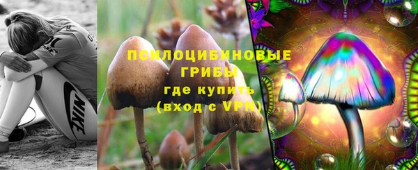 a pvp Переславль-Залесский