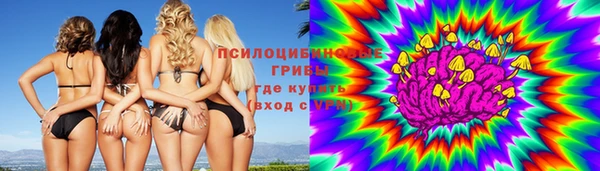 гидра Пестово