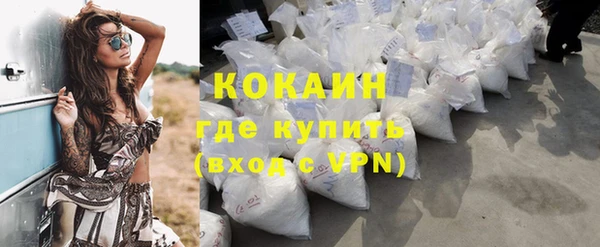 гидра Пестово