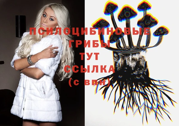 кристаллы Осинники