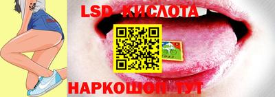 PSILOCYBIN Заводоуковск