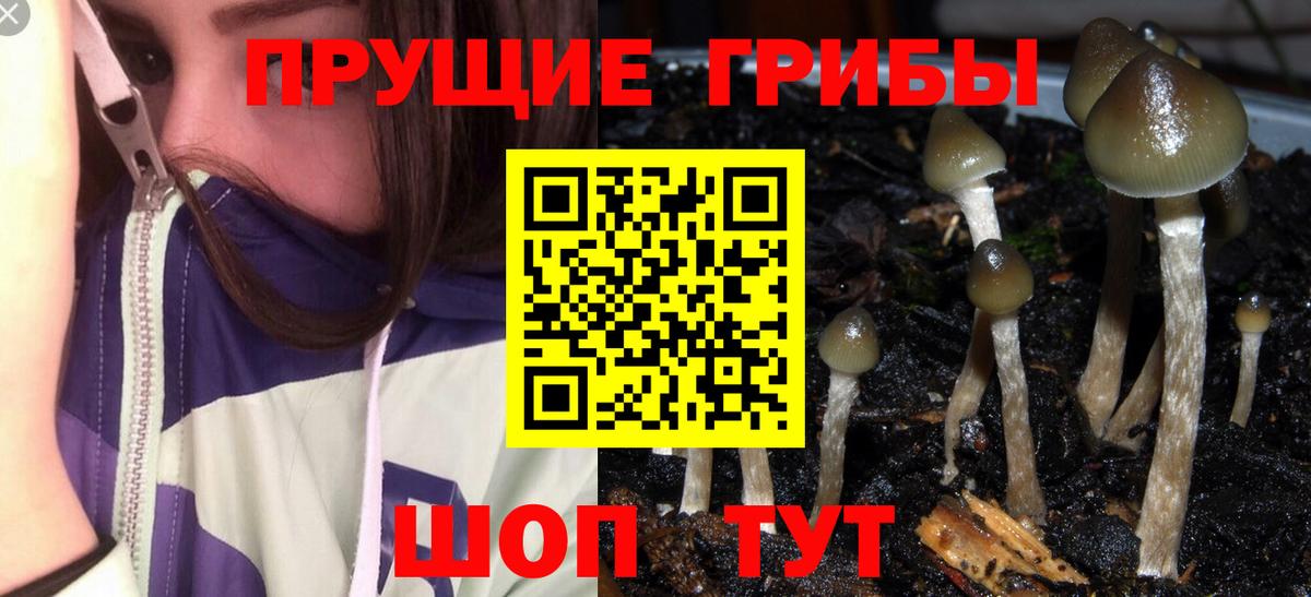 Галлюциногенные грибы ЛСД  Вход с VPN  Балтийск  Псилоцибиновые грибы Psilocybine cubensis 