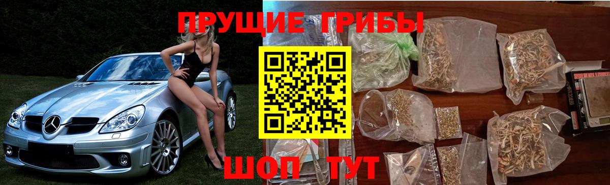 Псилоцибиновые грибы мухоморы Балтийск