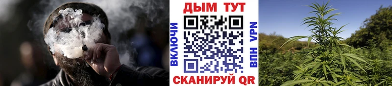 Бошки марихуана тримм  Балтийск 